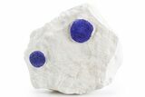 Vibrant Blue Azurite Suns on Siltstone - Australia #361192-1
